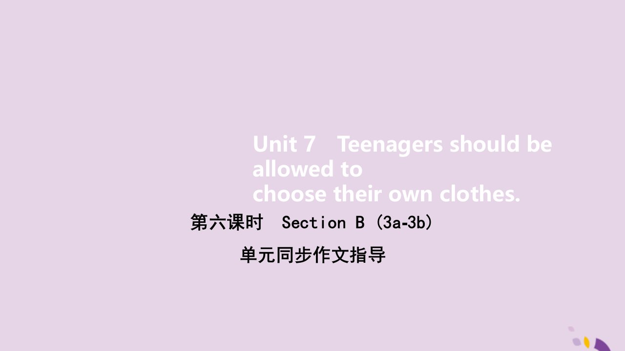 九年级英语全册Unit7Teenagersshouldbeallowedtochoosetheirownclothes第六课时作业课件新版人教新目标版