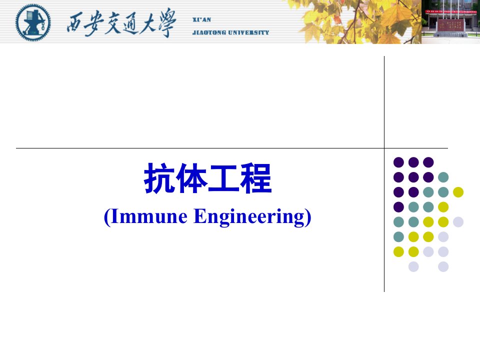 抗体工程,蛋白质工程