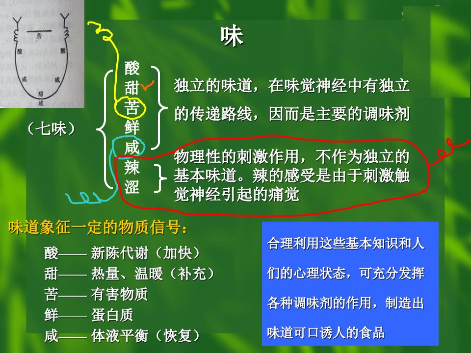 食品添加剂教学幻灯片第十二章酸度调节剂