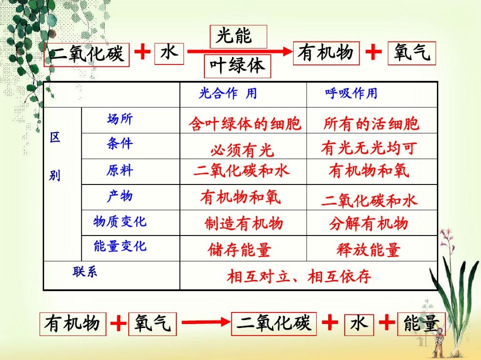 第二节绿色植物对有机物的利用