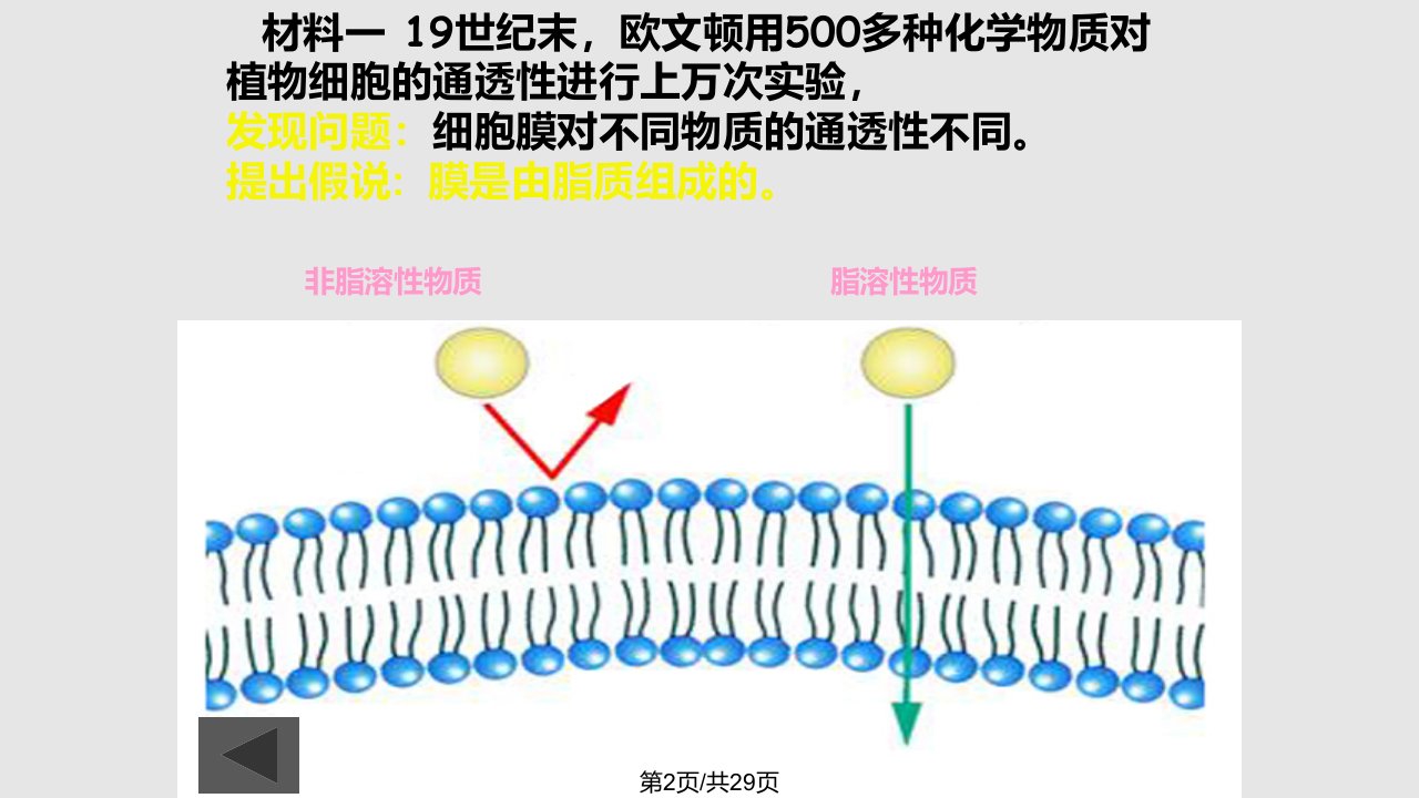 第一轮复习细胞膜的流动镶嵌模型与物质跨膜运输的方式