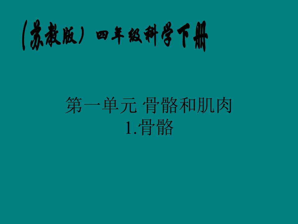 苏教版小学科学四年级下册《骨骼》课件