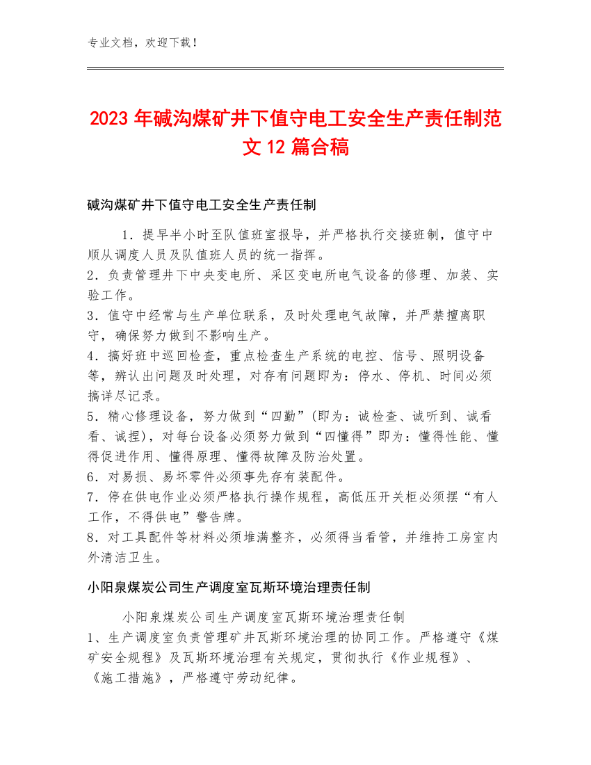 2023年碱沟煤矿井下值守电工安全生产责任制范文12篇合稿