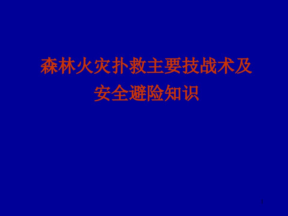 森林火灾扑救主要战术与避险知识