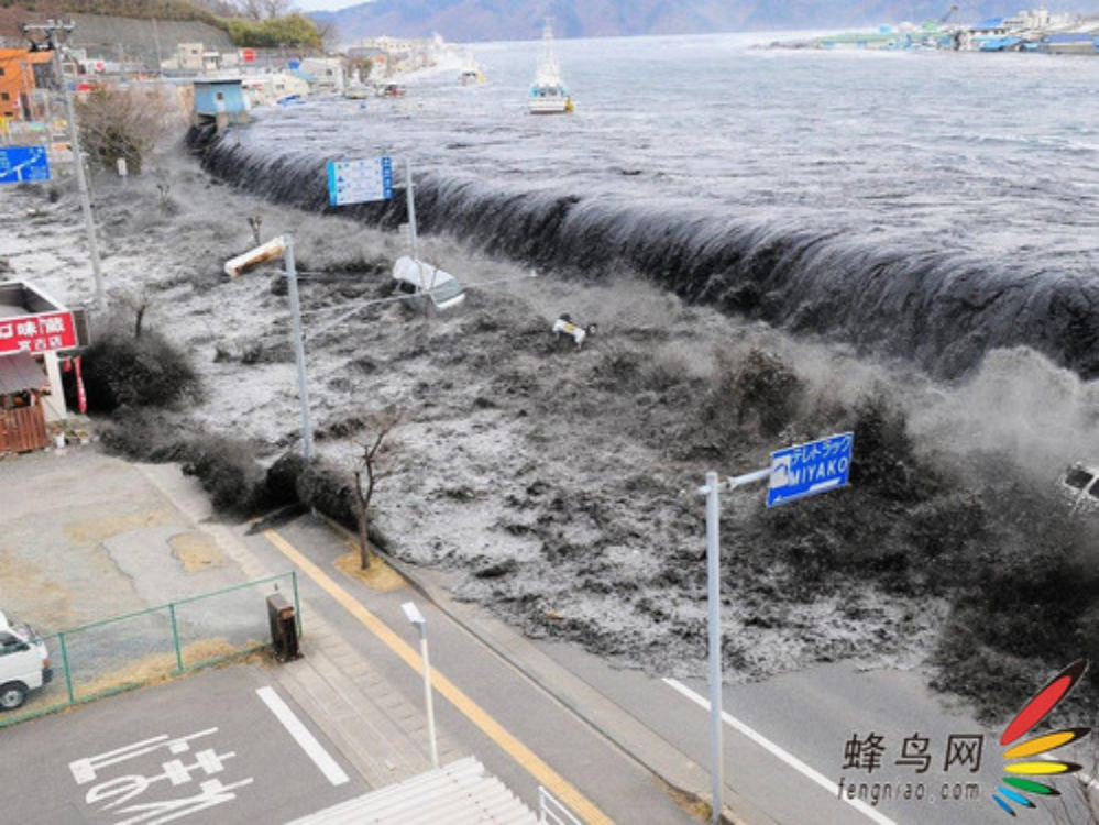 一条脱氧核苷酸链