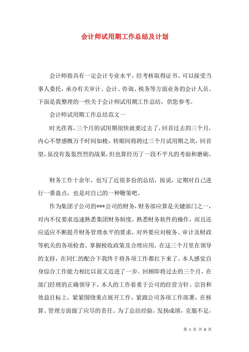 会计师试用期工作总结及计划