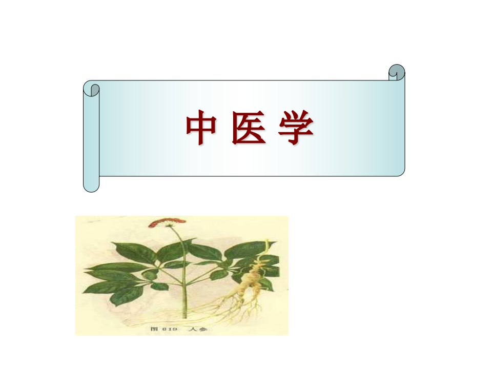 中医药学概论ppt