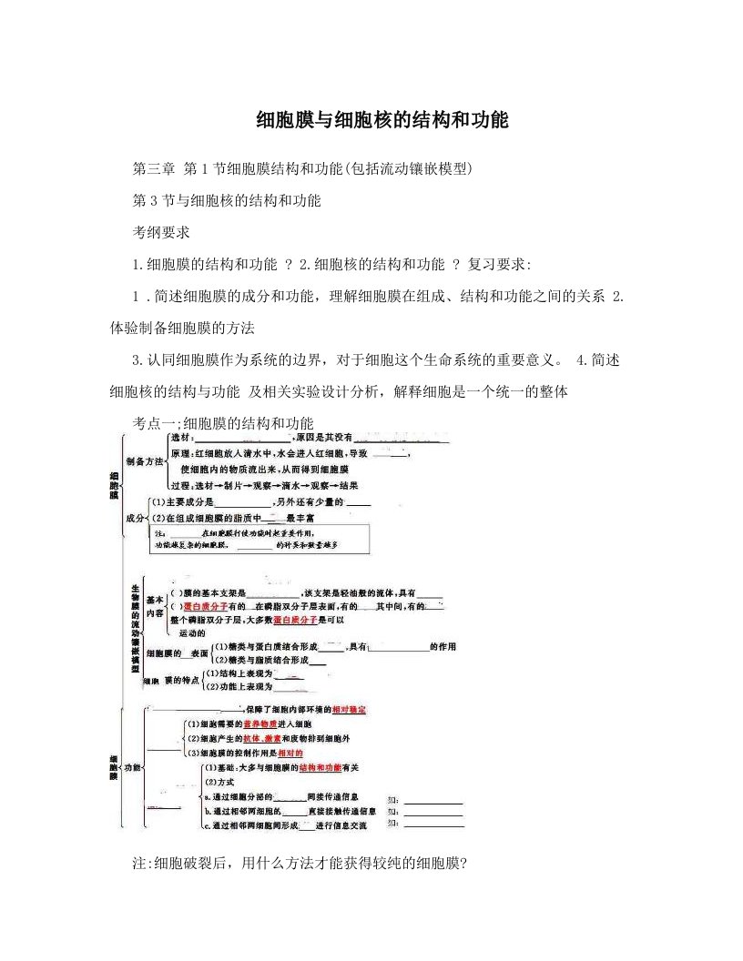 细胞膜与细胞核的结构和功能