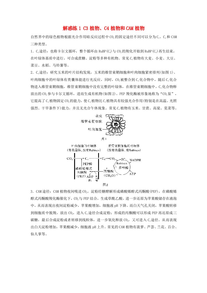 2024届高考生物一轮复习试题第三单元细胞的能量供应和利用解惑练1C3植物C4植物和CAM植物苏教版