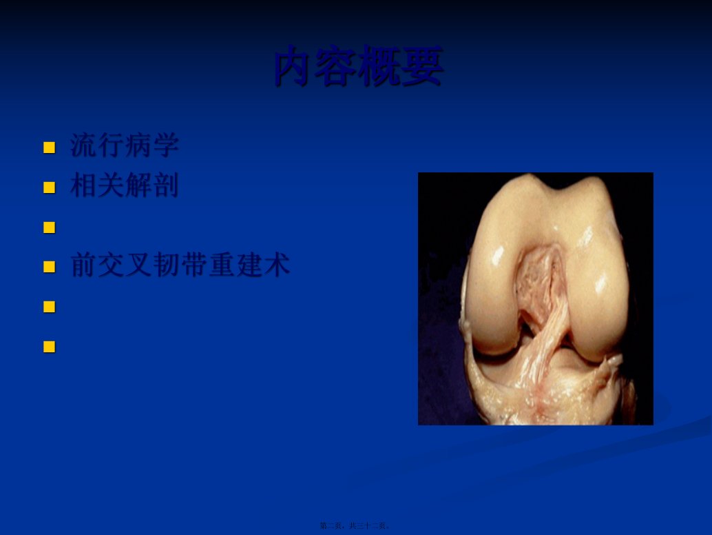 前交叉韧带重建术