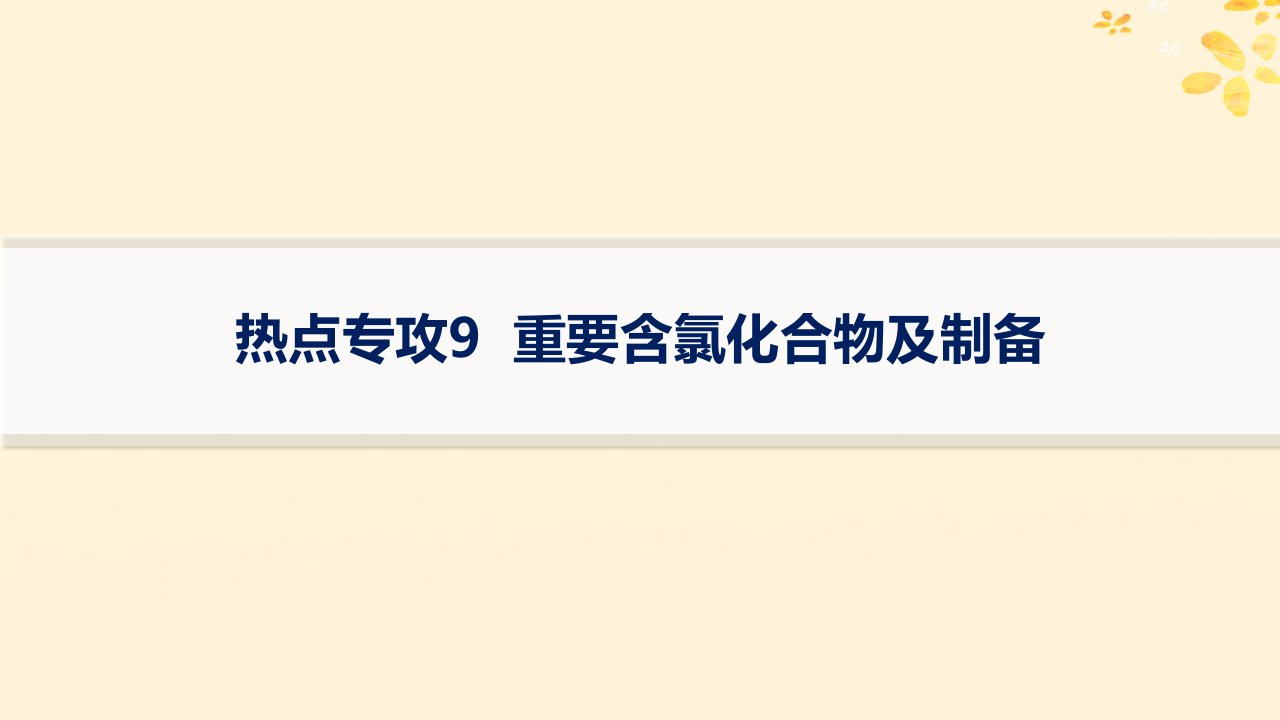 适用于新高考新教材备战2025届高考化学一轮总复习第4章非金属及其化合物热点专攻9重要含氯化合物及制备课件