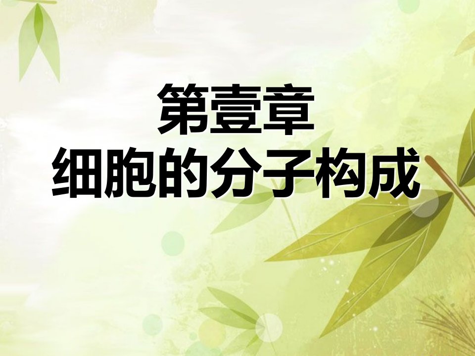 浙江版高中生物必修一市公开课一等奖课件百校联赛获奖课件