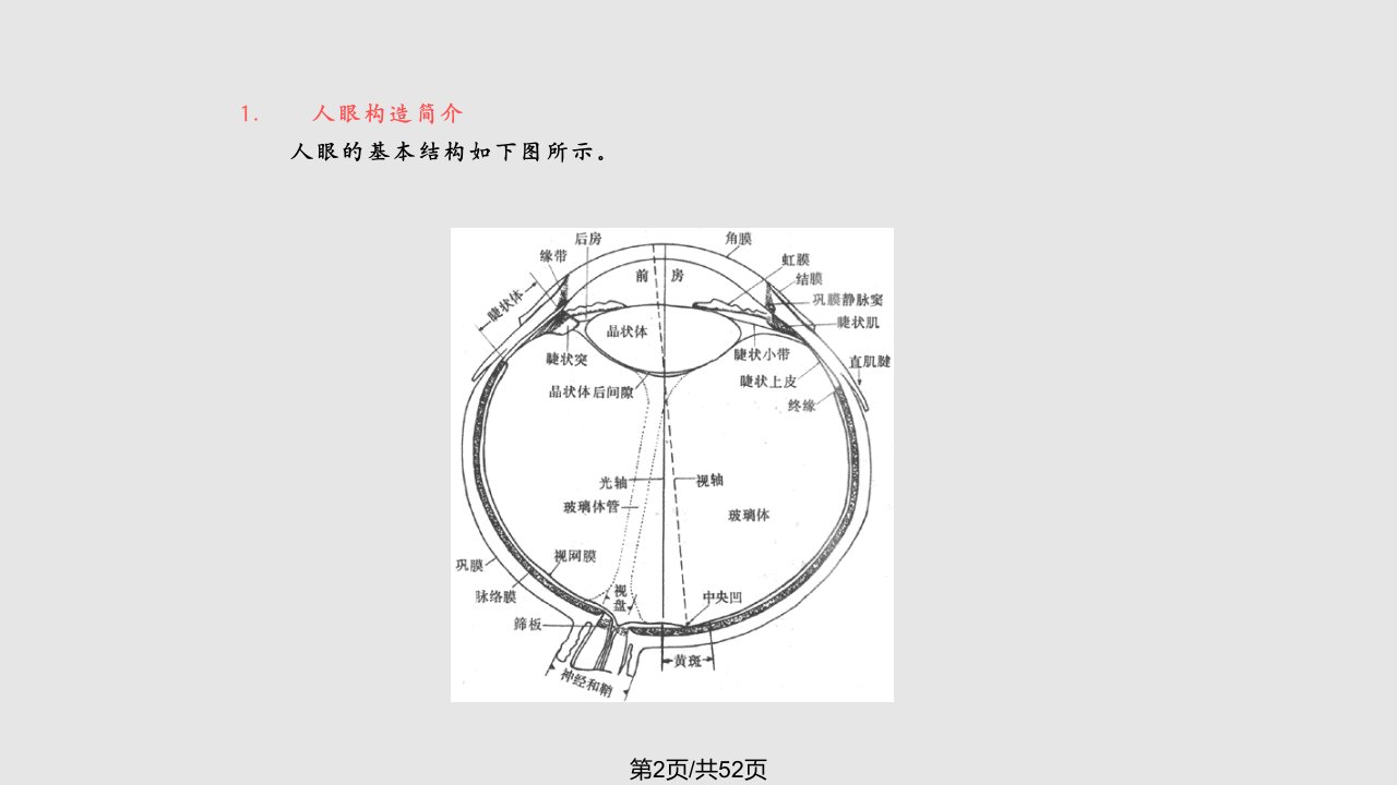 图像信息基本知识一人眼视觉特性引起视觉的外