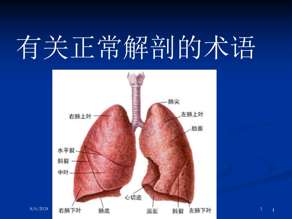 肺部CT影像征象图解培训ppt课件