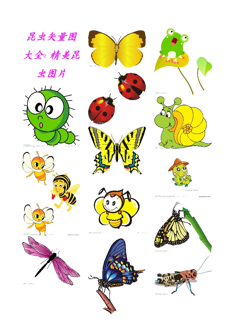 昆虫矢量图大全：精美昆虫图片，插图素材