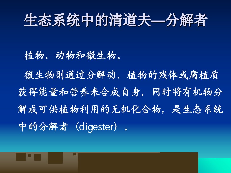 最新微生物与环境保护PPT课件