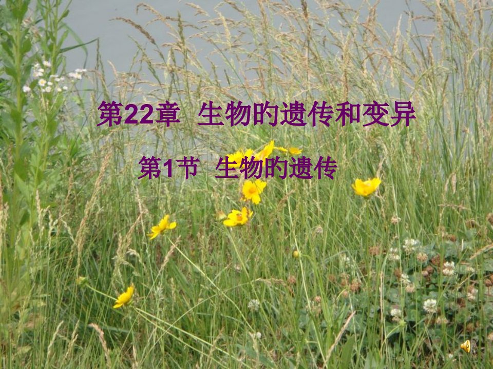 苏科版八下22章生物的遗传省名师优质课赛课获奖课件市赛课一等奖课件