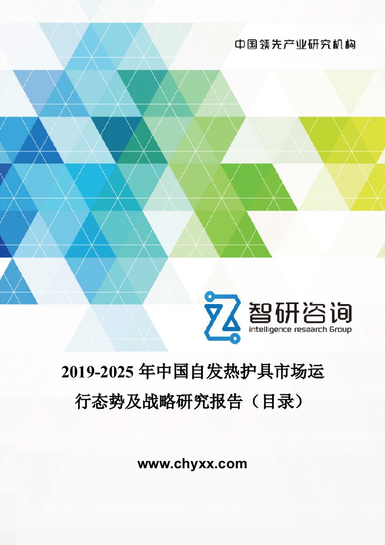 2019-2025年中国自发热护具市场运行态势及战略研究报告目录