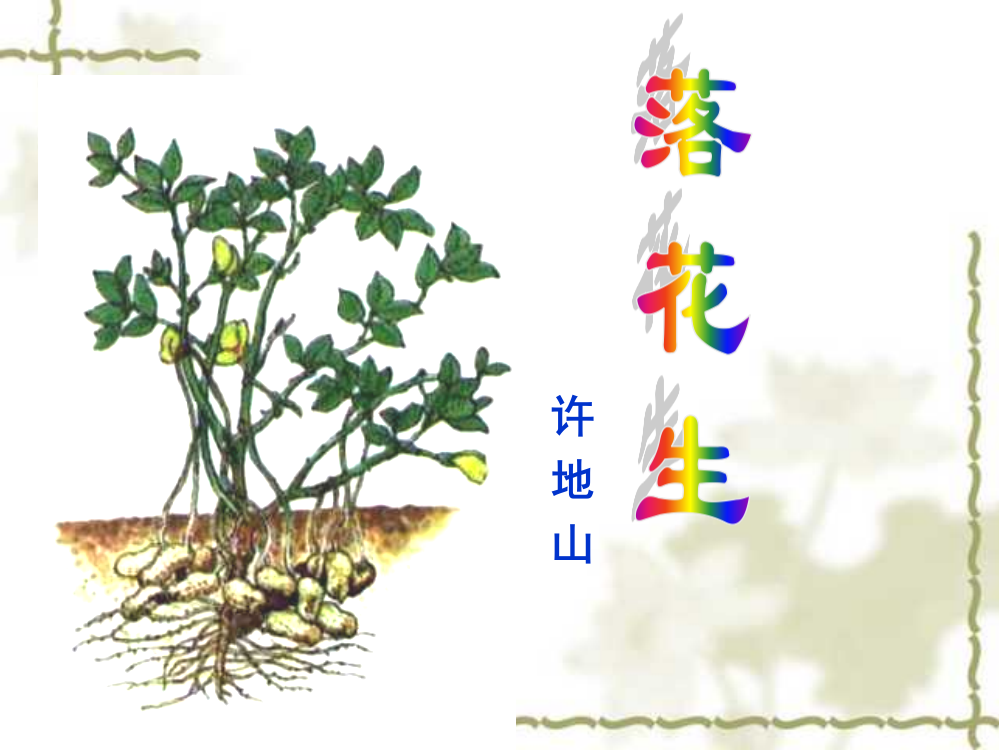 15课落花生优秀课件共享PPT4