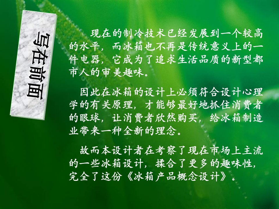 冰箱产品震求调研报告与概念设计课件