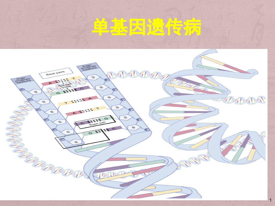 医学遗传学单基因病