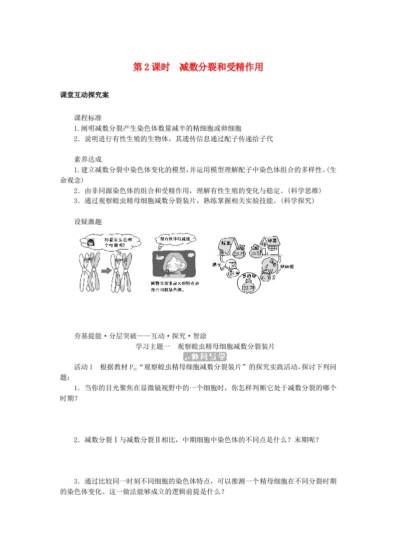 新教材2023版高中生物第2章基因和染色体的关系第1节减数分裂和受精作用第2课时减数分裂和受精作用学案新人教版必修2