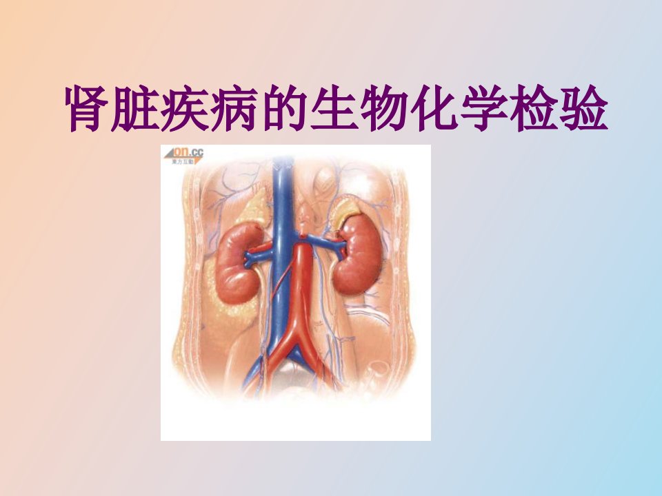 肾脏疾病的生物化学检验