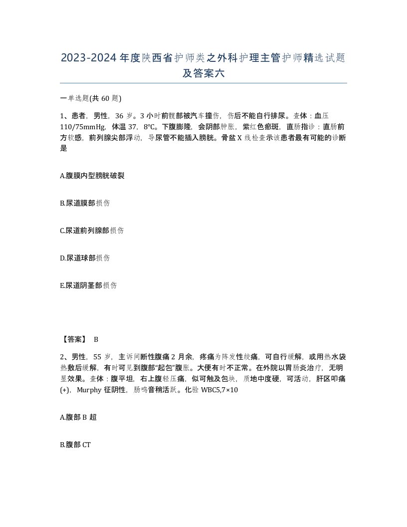 2023-2024年度陕西省护师类之外科护理主管护师试题及答案六