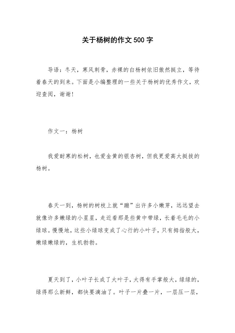 关于杨树的作文500字