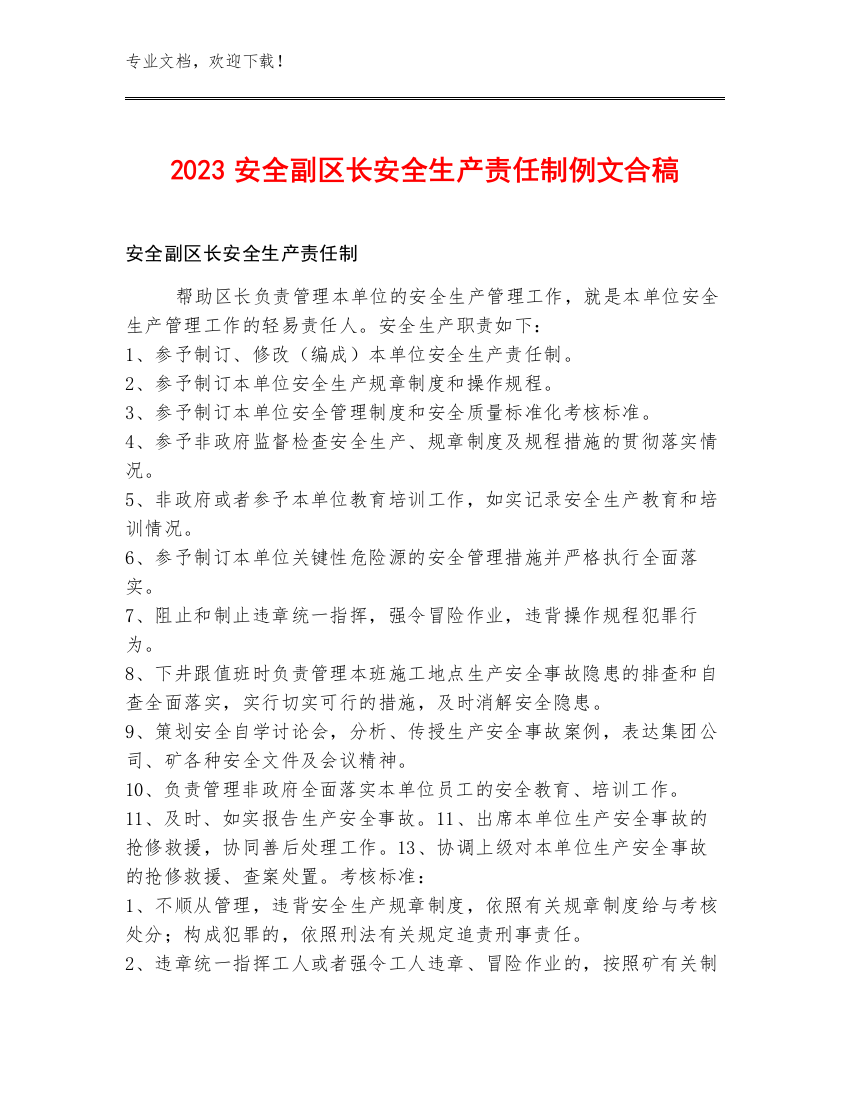 2023安全副区长安全生产责任制例文合稿