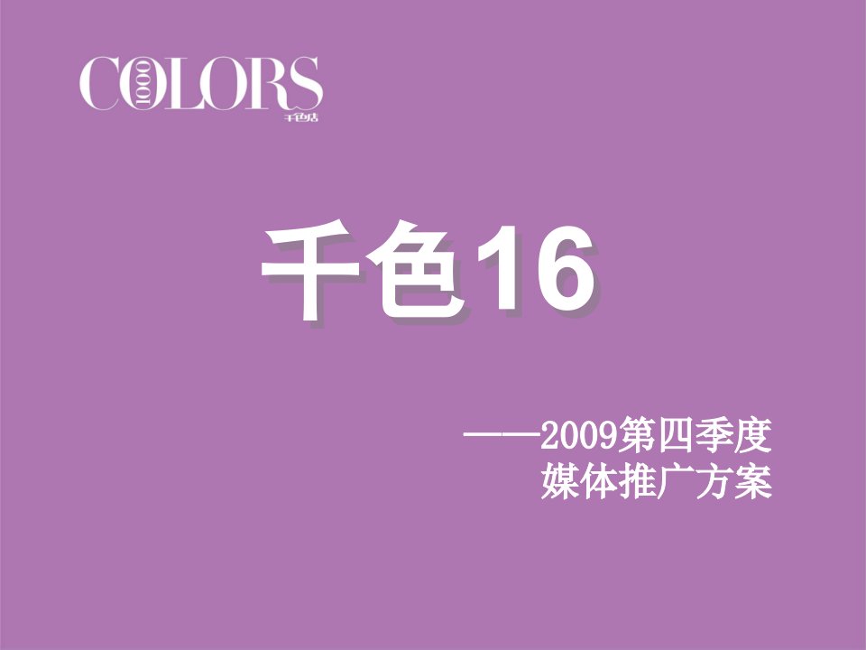 某公司16店2009第四季度媒体推广方案