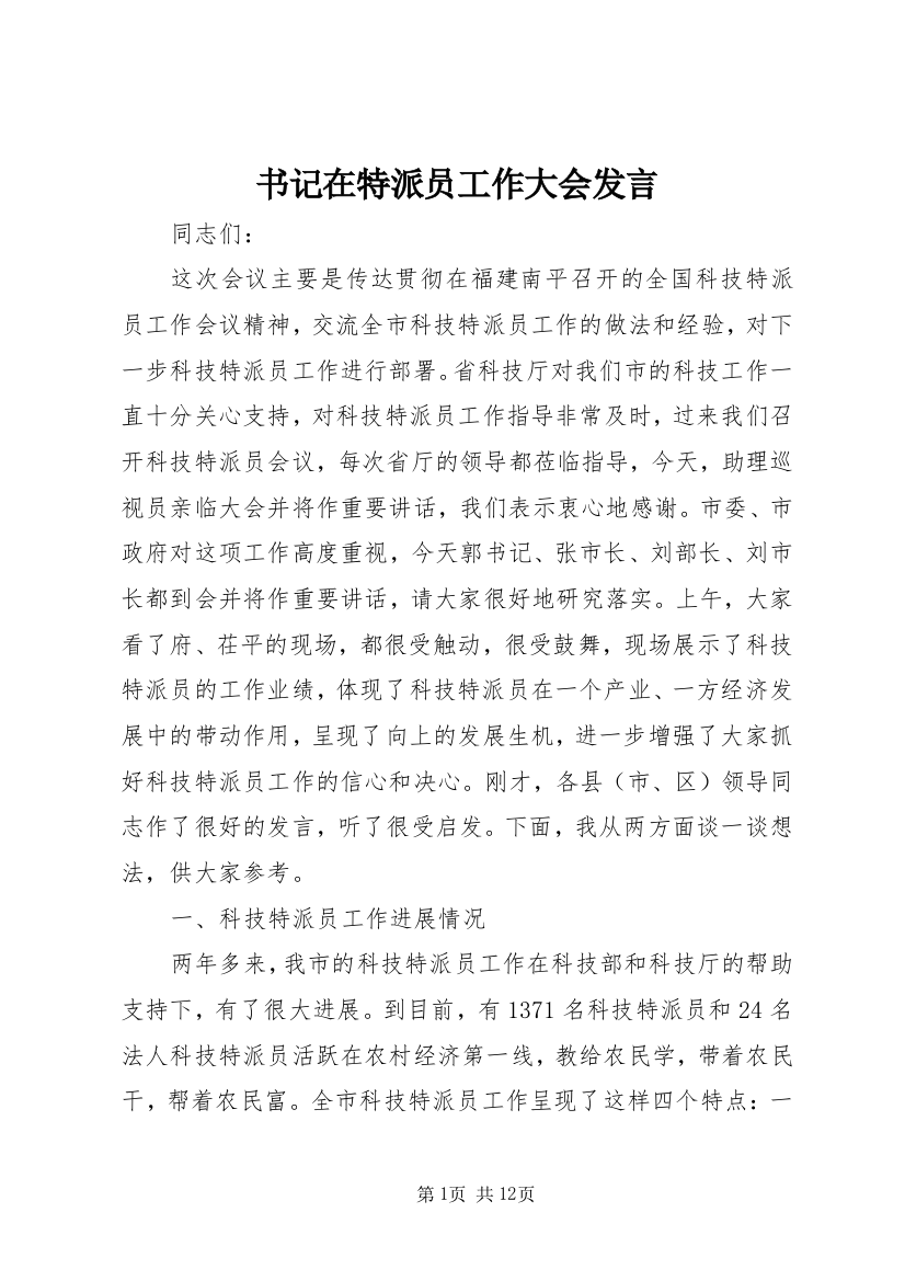 书记在特派员工作大会发言