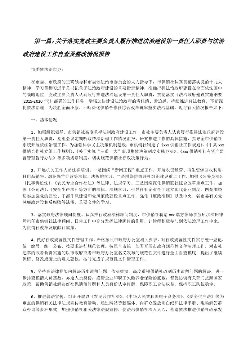 关于落实党政主要负责人履行推进法治建设第一责任人职责与法治政府建设工作自查及整改情况报告[五篇][修改版]