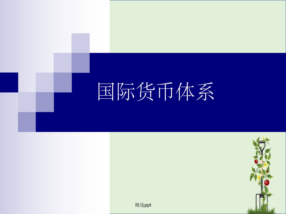 国际货币与金融经济学ch11国际货币体系