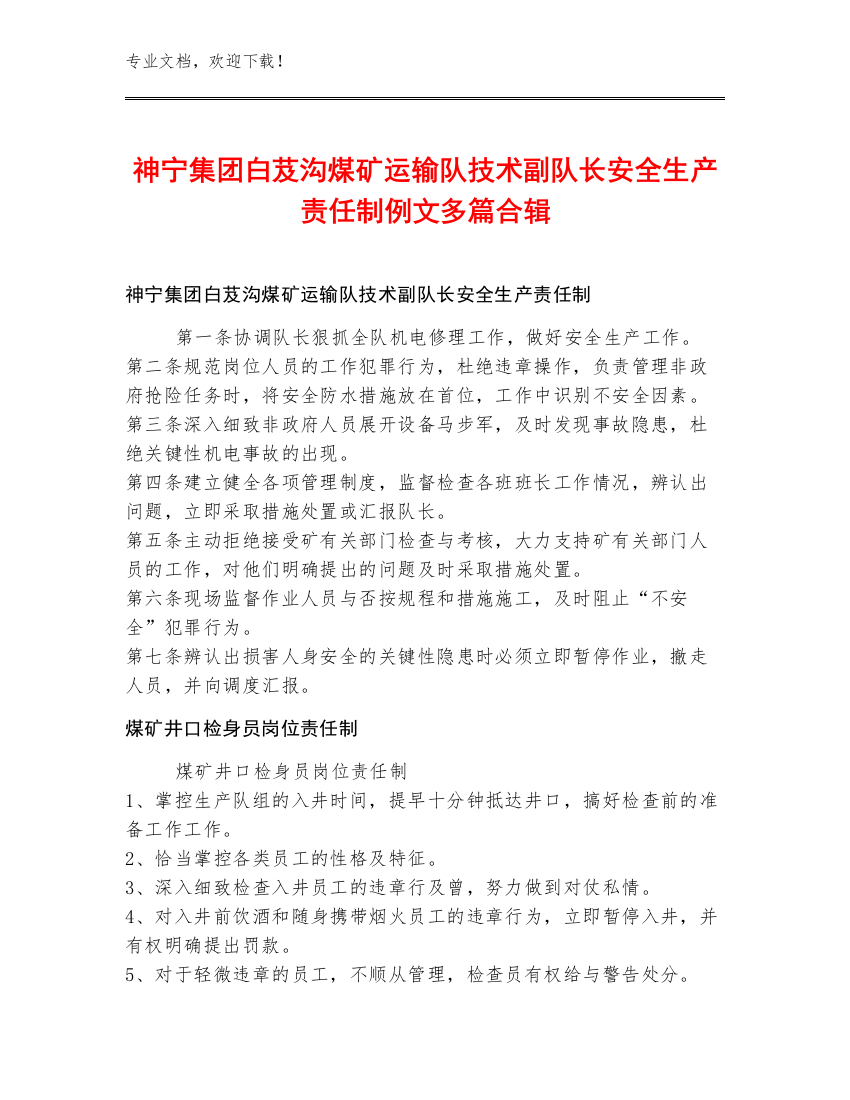 神宁集团白芨沟煤矿运输队技术副队长安全生产责任制例文多篇合辑