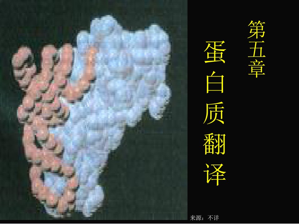 分子生物学第五章