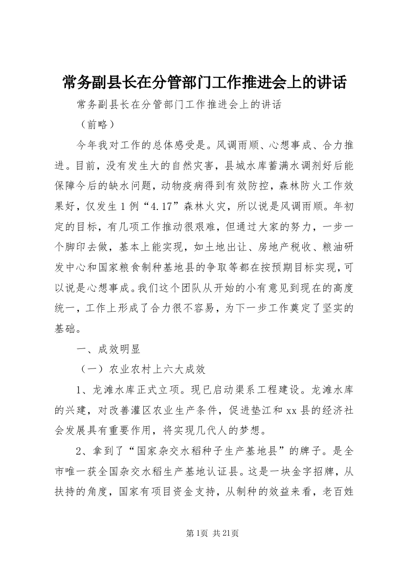 常务副县长在分管部门工作推进会上的讲话