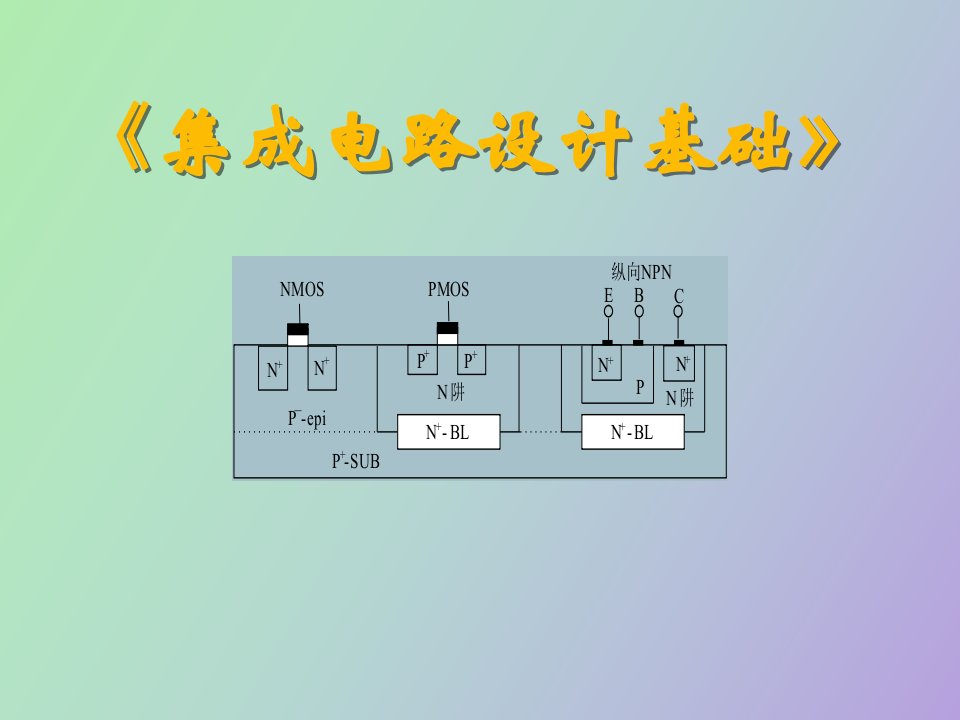 集成电路特定工艺