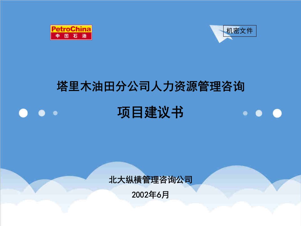 项目管理-塔里木油田人力资源项目建议书