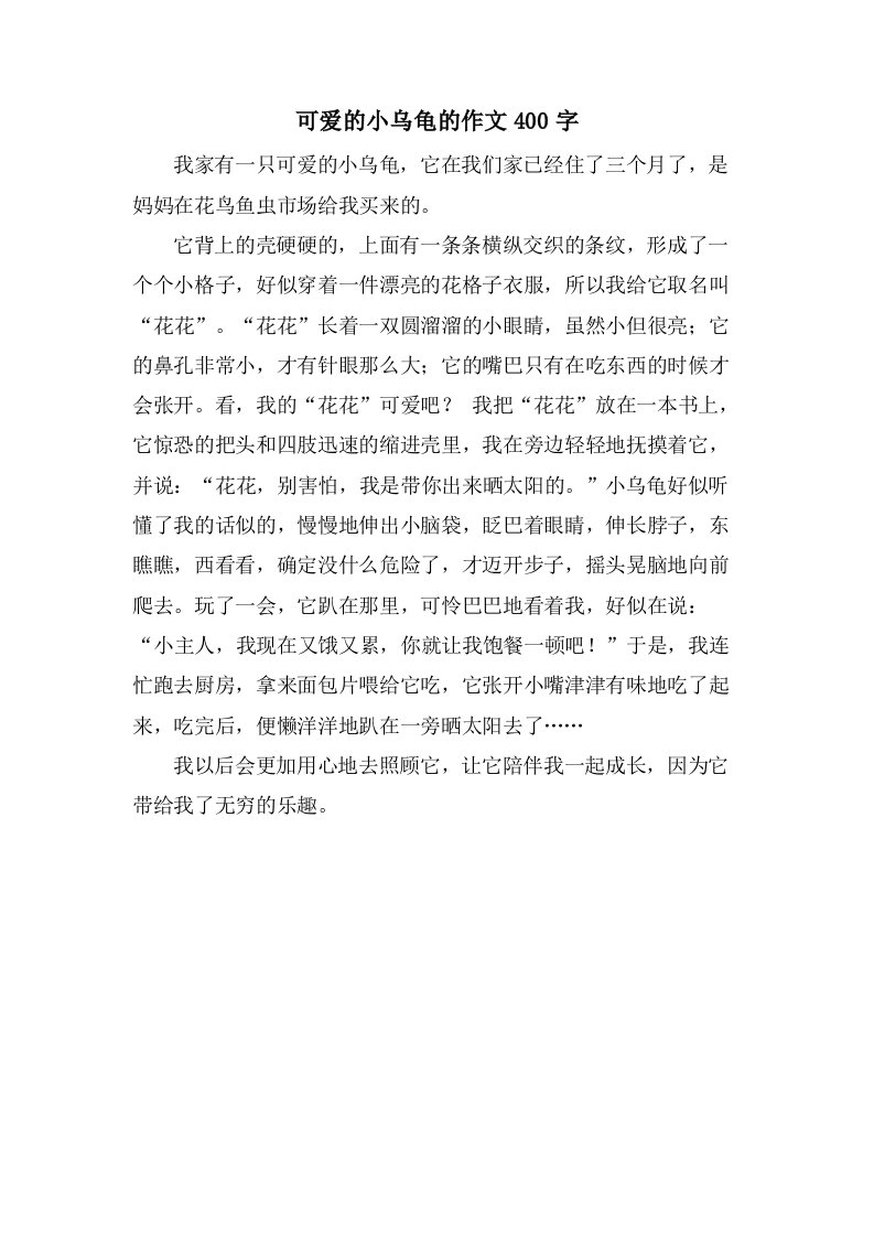 可爱的小乌龟的作文400字