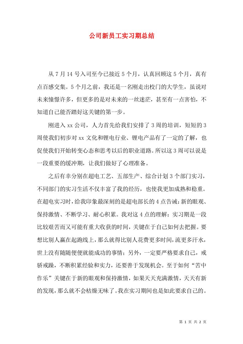 精选公司新员工实习期总结