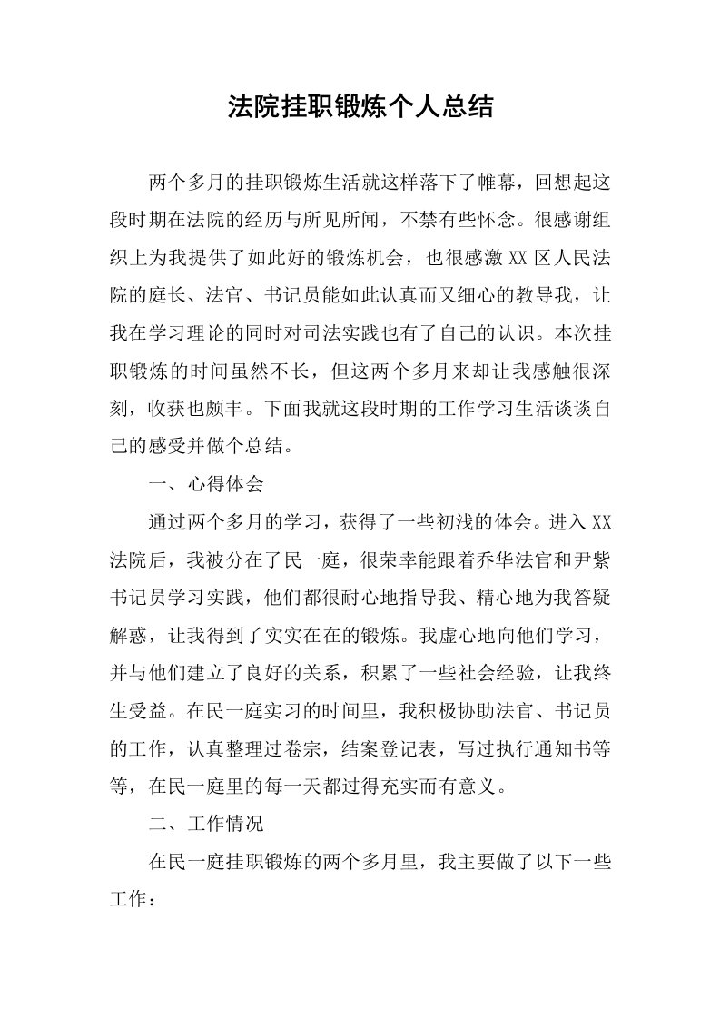 法院挂职锻炼个人总结.docx