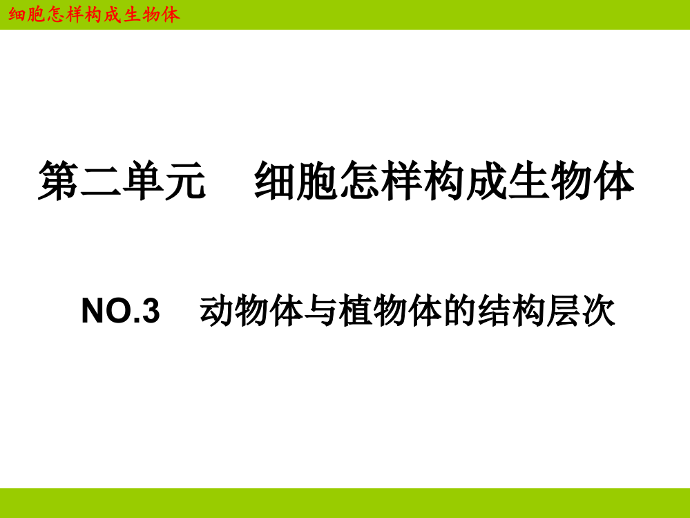 动物体与植物体结构层次