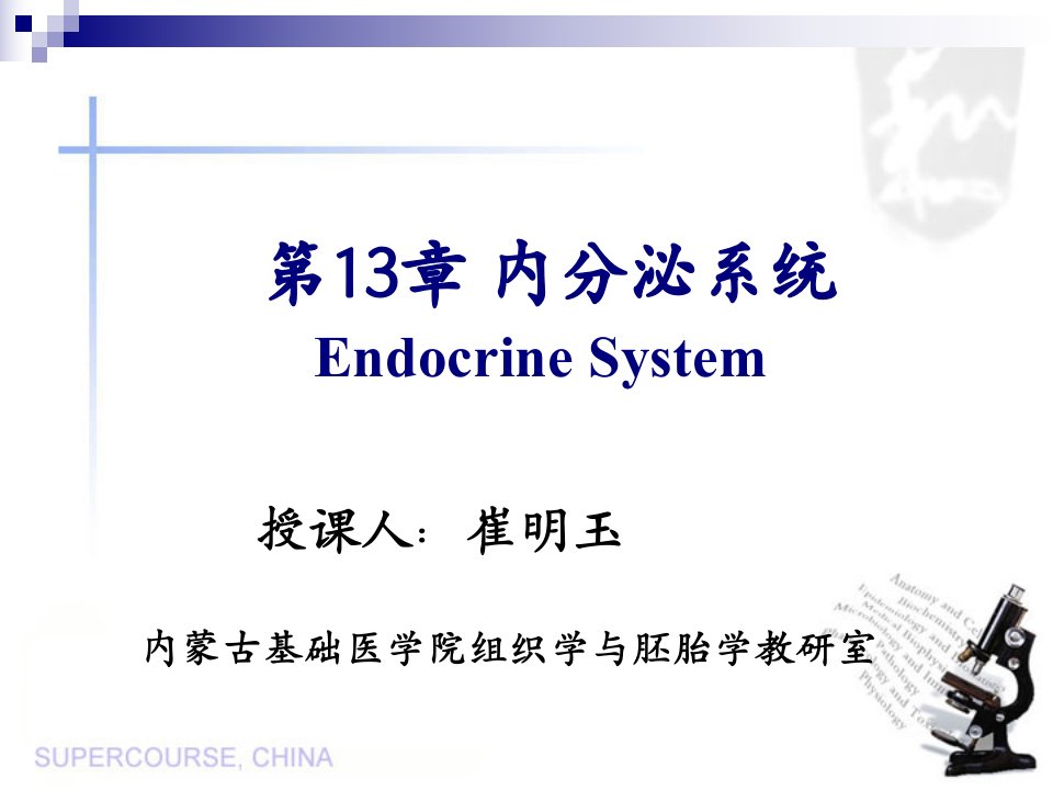 组织学第13章内分泌系统