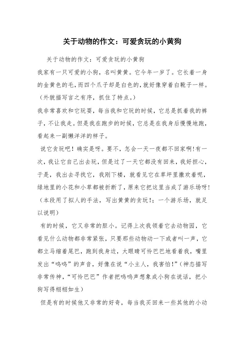 关于动物的作文：可爱贪玩的小黄狗