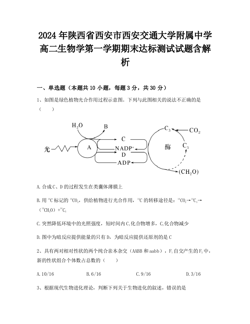 2024年陕西省西安市西安交通大学附属中学