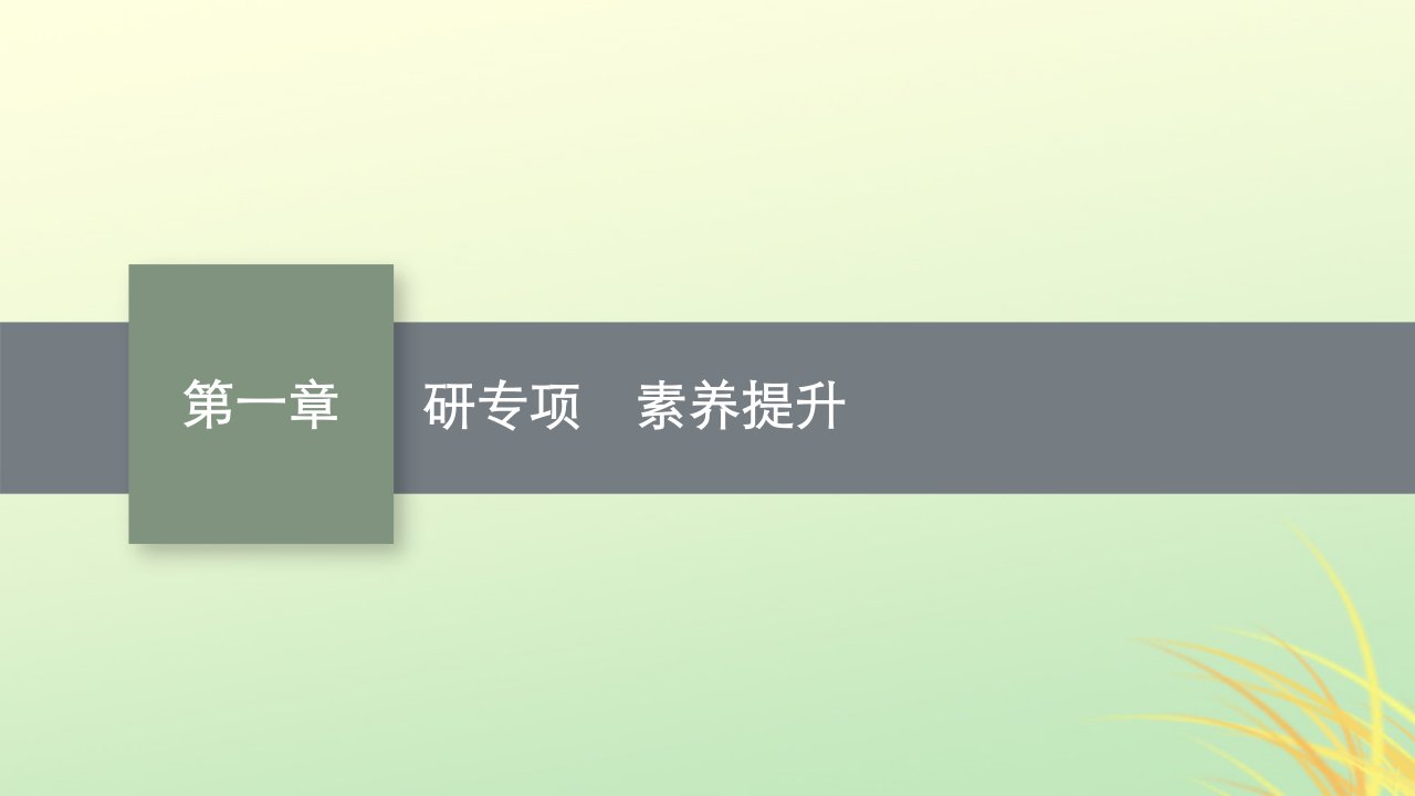 适用于新高考新教材广西专版2024届高考物理一轮总复习第1章运动的描述匀变速直线运动的研究研专项素养提升课件