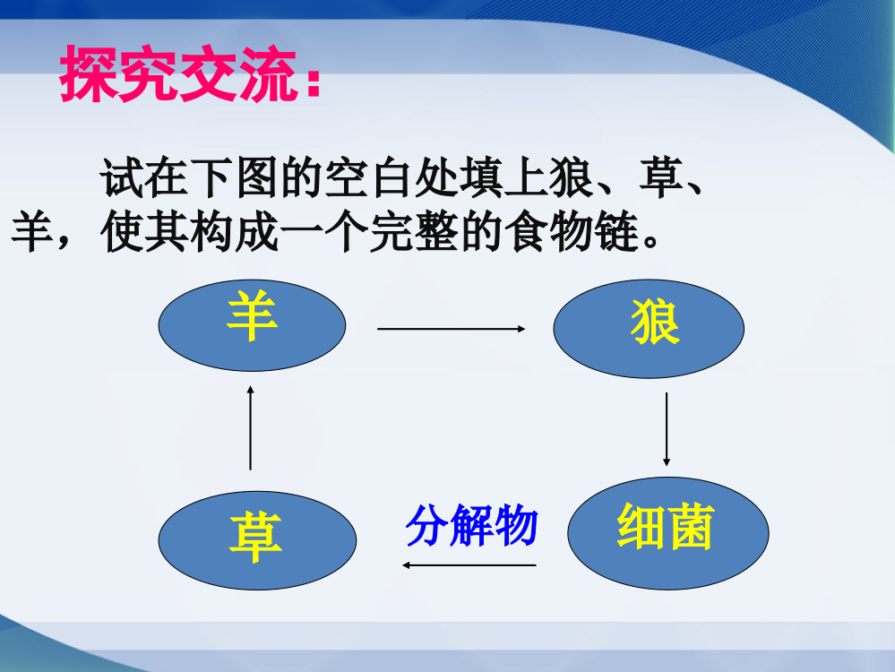 完成食物链并讨论每一环节