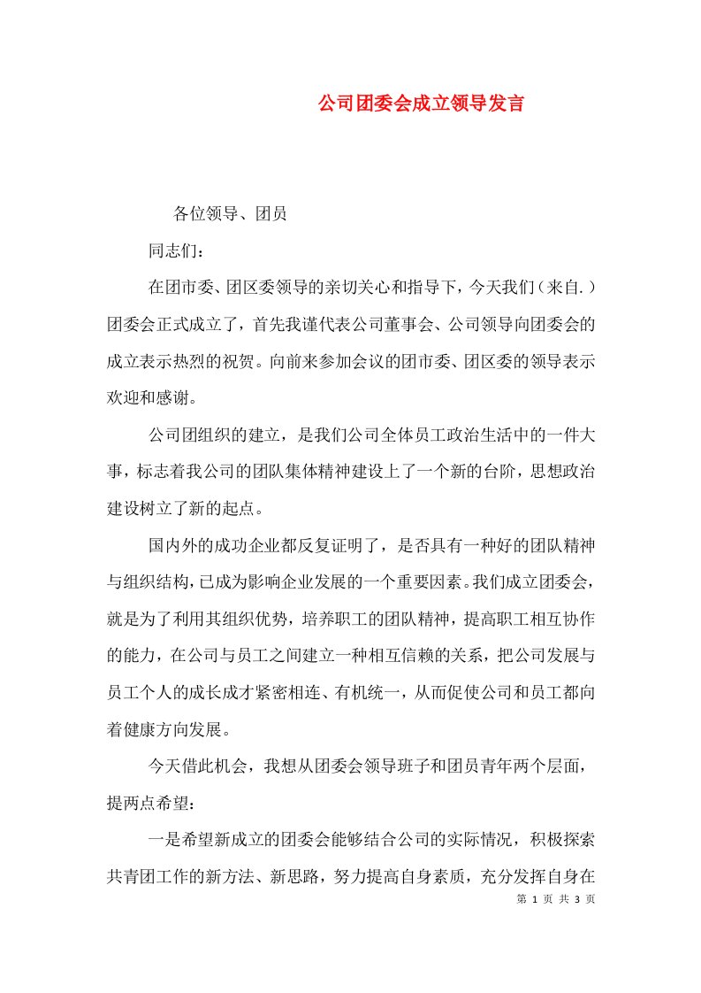 公司团委会成立领导发言（六）