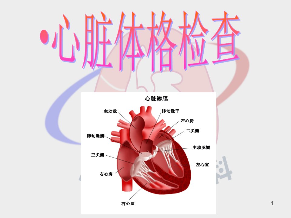 医学PPT课件心脏体格检查